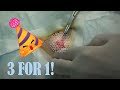 Cyst Quick Triple Feature
