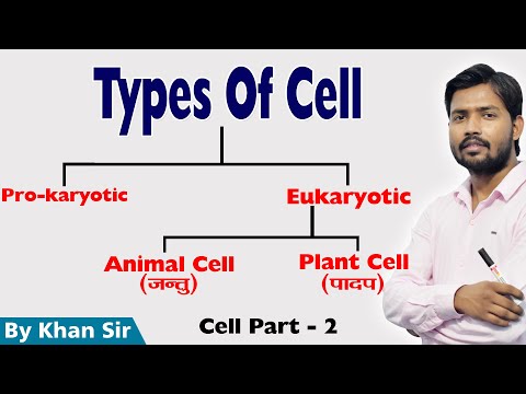 मानविका | मानव कोशिका | सेल के प्रकार | जीवविज्ञान | भाग - 2 | खान जीएस रिसर्च सेंटर