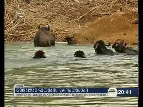 უხიდოდ და უგზოდ დარჩენილი სოფელი დახმარების მოლოდინში