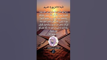 الآية ( 8) من سورة التحريم// القارئ الشيخ ماهر المعيقلي.