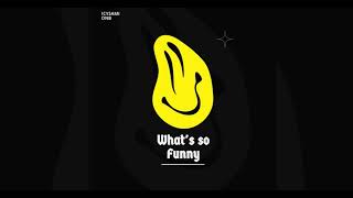 What's So Funny - DnB Icysami