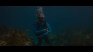 Diving Sombrero Reef - Marathon, FL