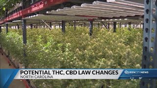Potential THC, CBD law changes in North Carolina
