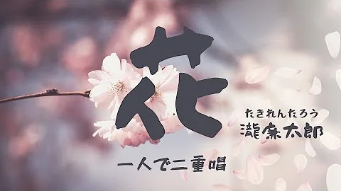 花滝廉太郎低 花滝廉太郎低
