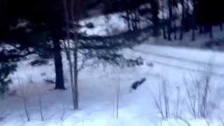 Extreme sledding pt 1 and pt 2!
