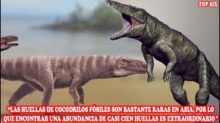 COCODRILOS del tiempo de los DINOSAURIOS caminaron sobre dos PATAS, revelan ESTUDIO SOBRE sus