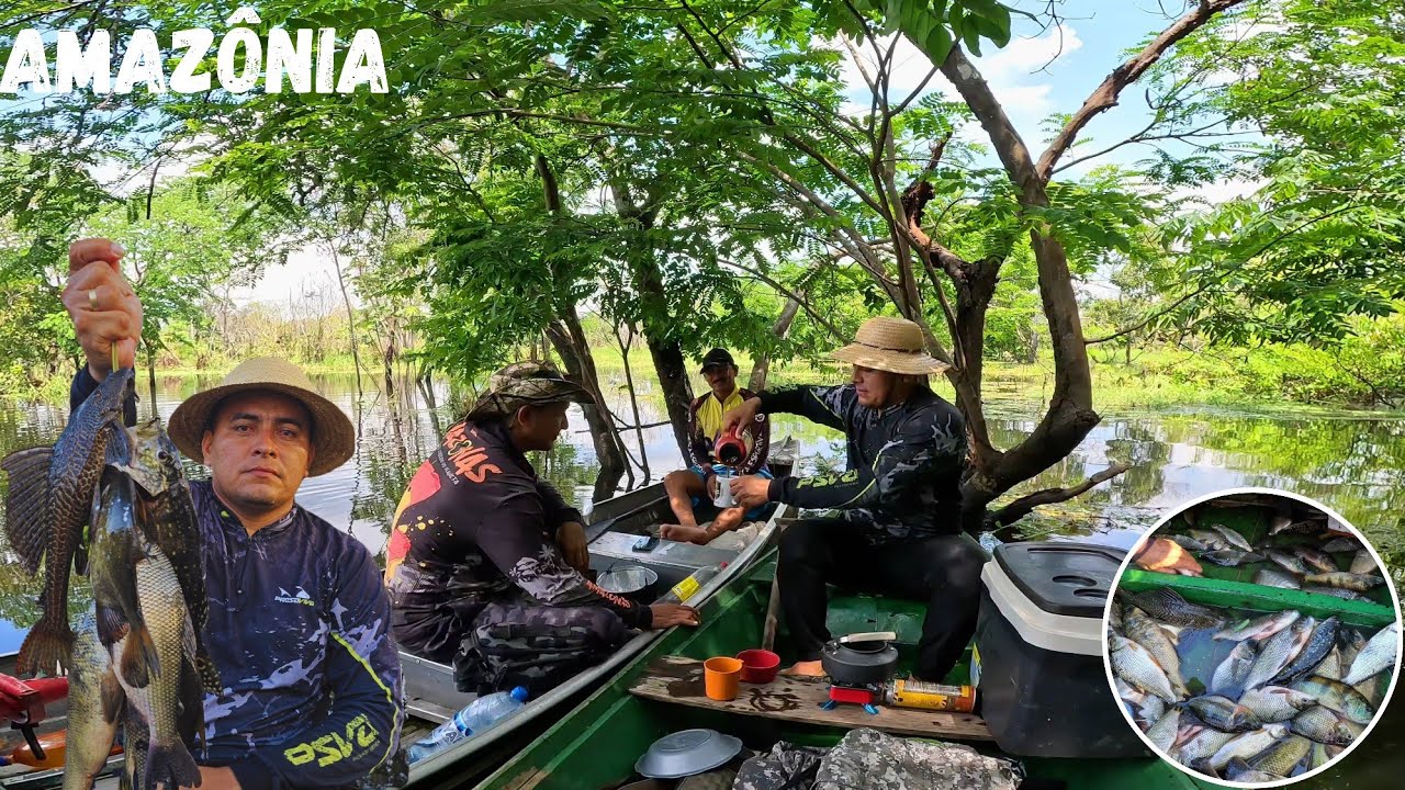 🛶🎣Pescando na AMAZÔNIA -Fartura o Ano todo nesse lugar