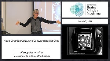 6.4 - Head Direction Cells, Grid Cells, and Border Cells