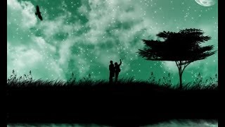 NightCore A Country Boy Can Survive