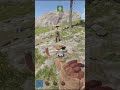 NEVER TRUST IN RUST - Kingdoms