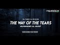 The Way Of The Tears Slowed Nasheed By Muhammad Al Muqit (Slowed   Reverb)