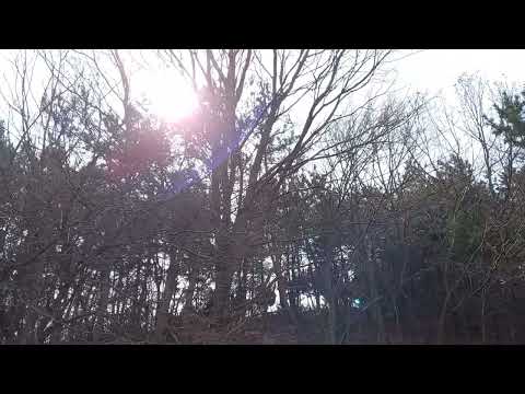 20230307 144010 #봄바람 #바람소리 #농어촌 #알고보니한달란트