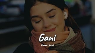 Gani Lofi Song || Solwed-Reverb || Akhil Panjabi Song || 2025 Lofi || #lofi #song #mashup