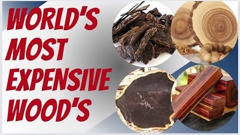 Top 10 Most Expensive Woods in the World 🌍 | Exotic Luxury Timbers Revealed!
