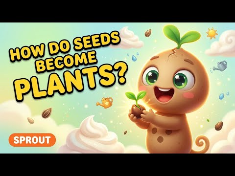 Sproutieeee: Unlocking The Power Of Tiny Seeds