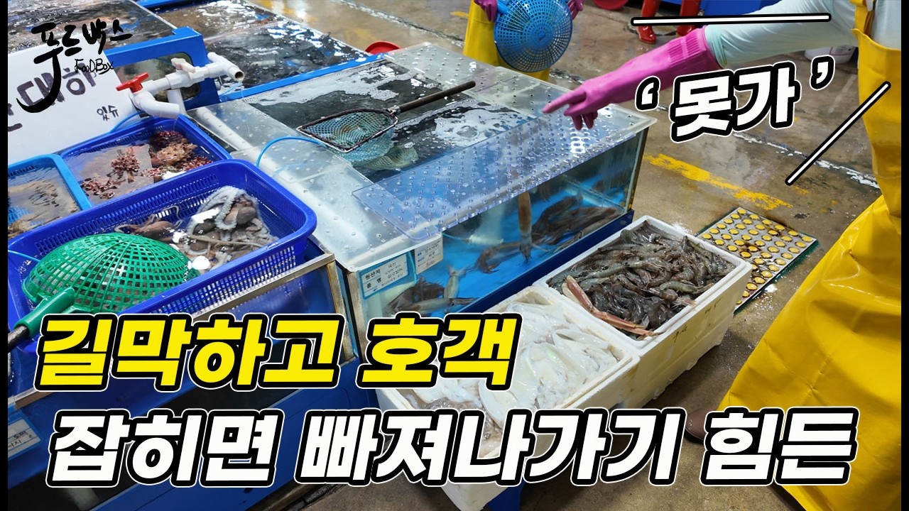 길막하고 '선넘는 호객'에  놀라  뭐라 잘 안하는데  결국 ...  [대천항수산시장]