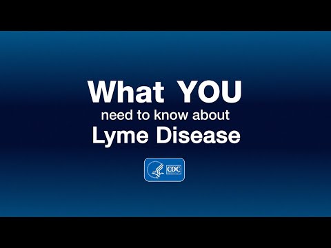 Video: Ziekte van Lyme: wat hondenbezitters moeten weten