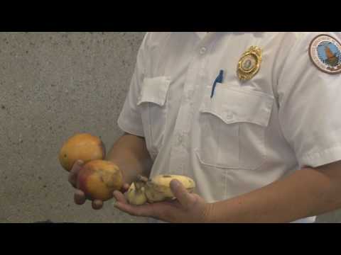 Video Hawaii Departures: Aloha from the Department of... - youtube