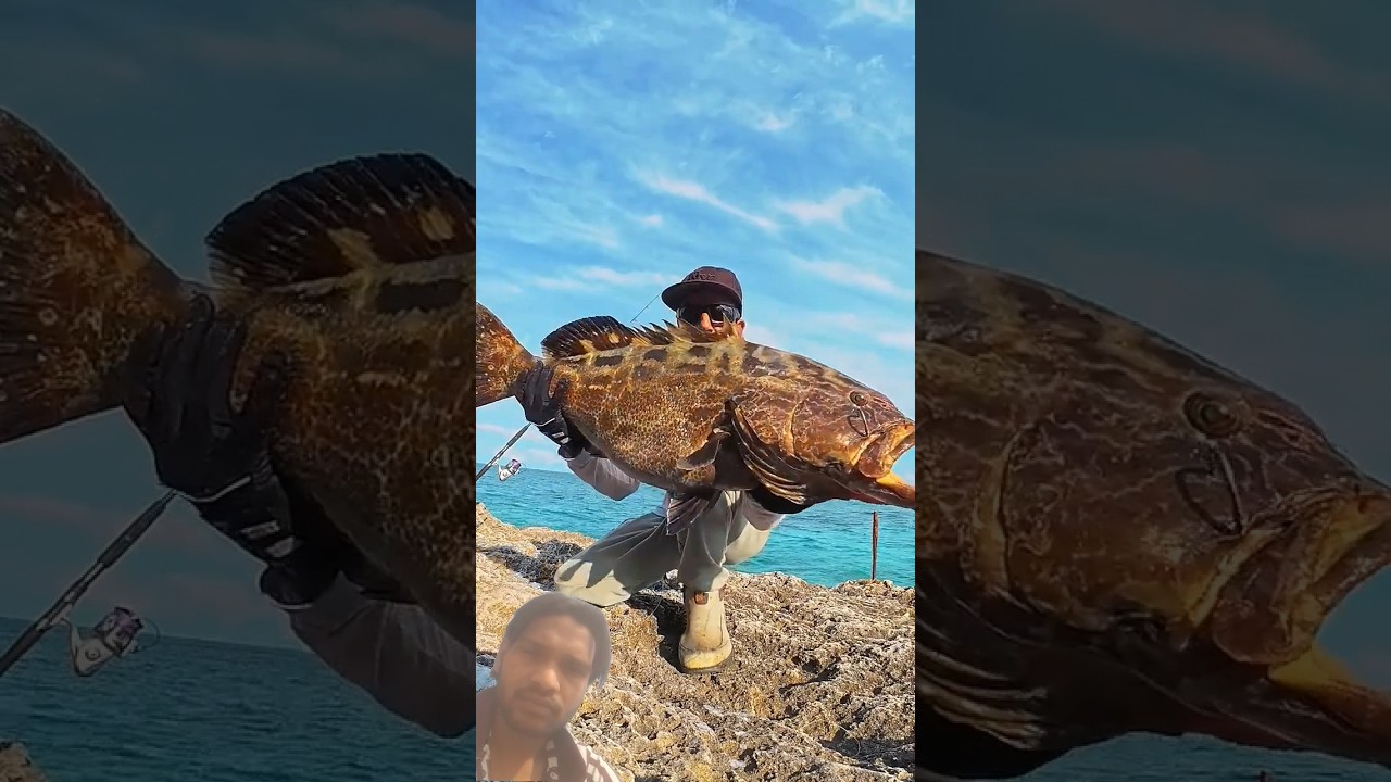 “Nobody Expected This Catch 😱 | Big Fish Attack | Viral Fishing Video 2026” 