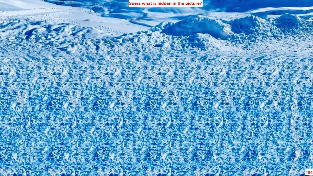 Что  спрятано на этой картинке? Guess what is hidden in the picture?