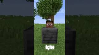 Şansını Dene!💙💙  #minecraft #minecraftshorts #shortsvideo #shorts