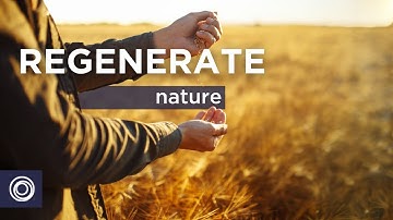 3. Regenerate Nature