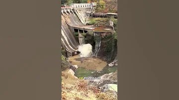 Why Dams Need Regular Cleaning Shorts 