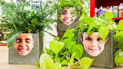 How To - Ken Wingard's DIY Face Planters - Home & ...