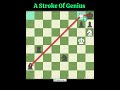 Deep Calculation 🧩🤔🧠#puzzle #memes #2movescheckmate #chessgame #chess #brilliantmove
