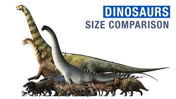 Dinosaurs Size Comparison 2022!
