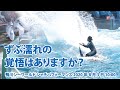 ずぶ濡れの覚悟はありますか？　Are you ready to get drenched?【2020年8月3日10:00　鴨川シーワールド　シャチパフォーマンス】Killer whale pe