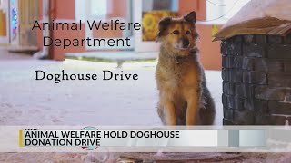 Albuquerque Animal Welfare Department seeks doghouse donations