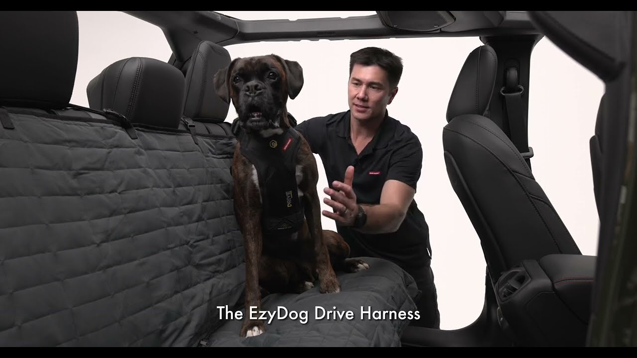 The EzyDog Drive Harness - YouTube