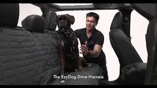 The EzyDog Drive Harness