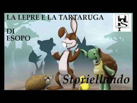 La lepre e la tartaruga di Esopo | Fiabe per bambini | Storiellando | Storie per bambini