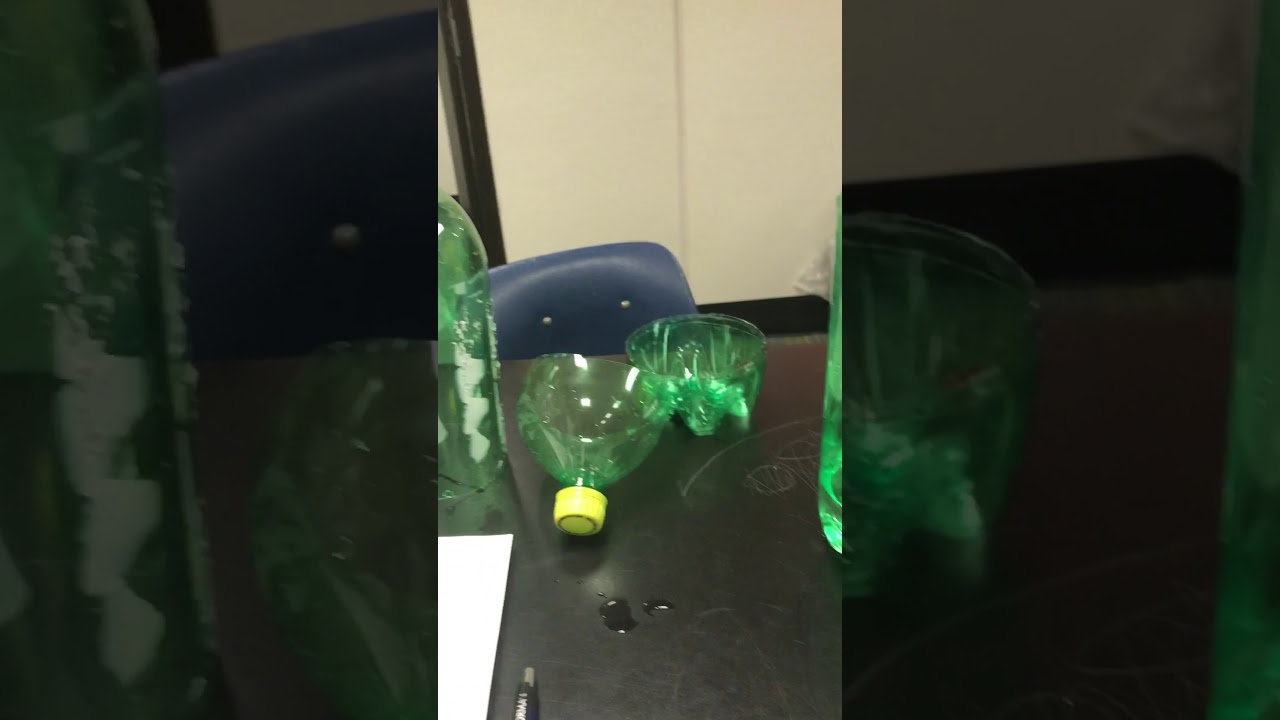 environmental science project