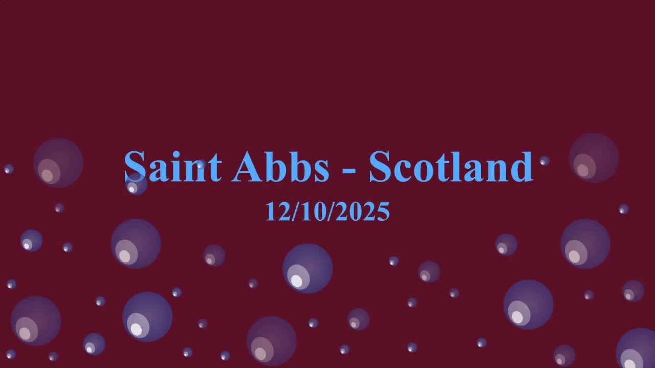 Saint Abbs - Scotland - 12/10/2025