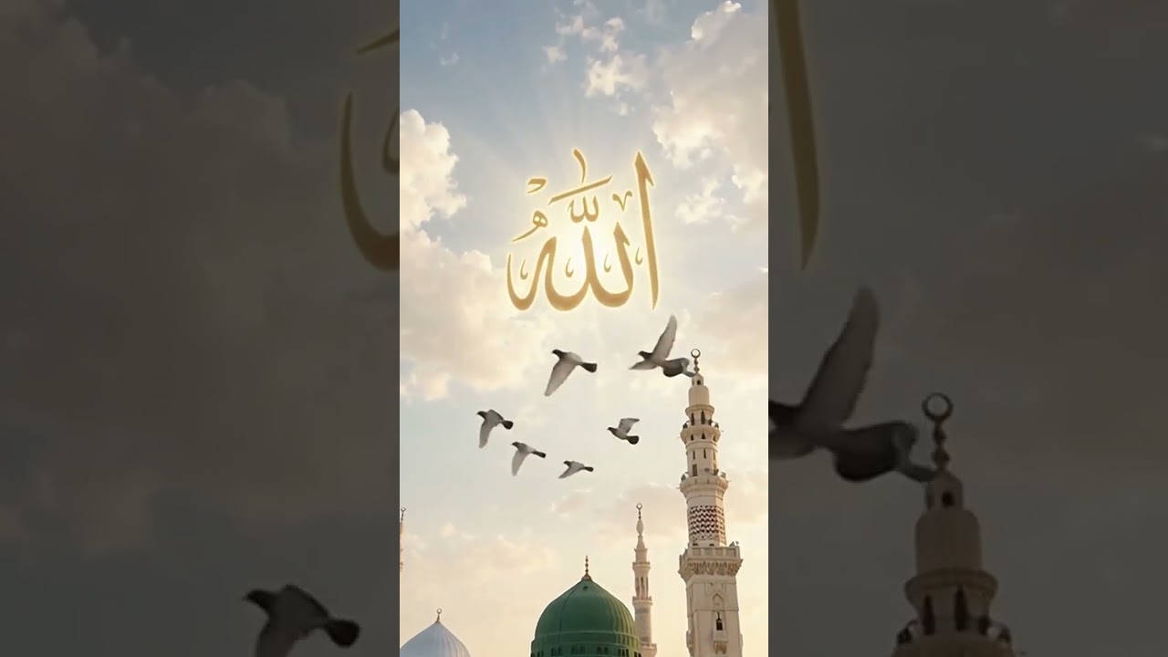 m Madina 💖💖💖💓😍 #love #arabic #ytshorts