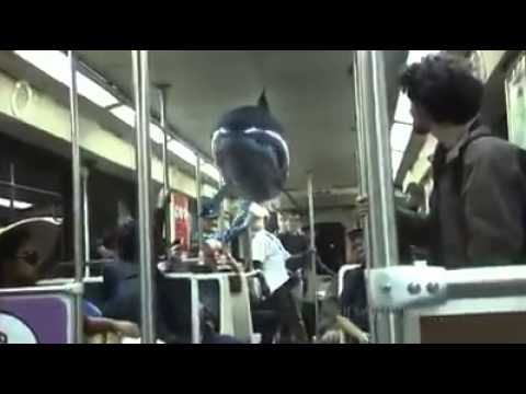 Air swimmer  - sharefb.com