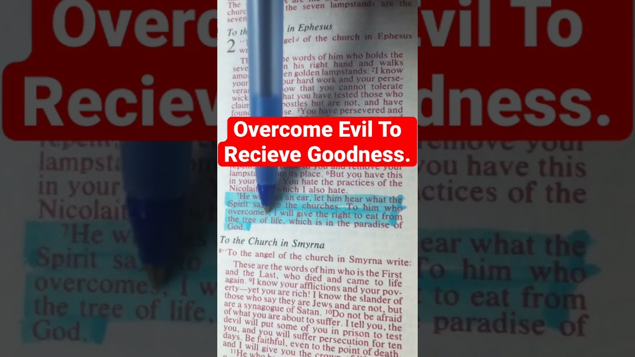 Overcome Evil By Doing 