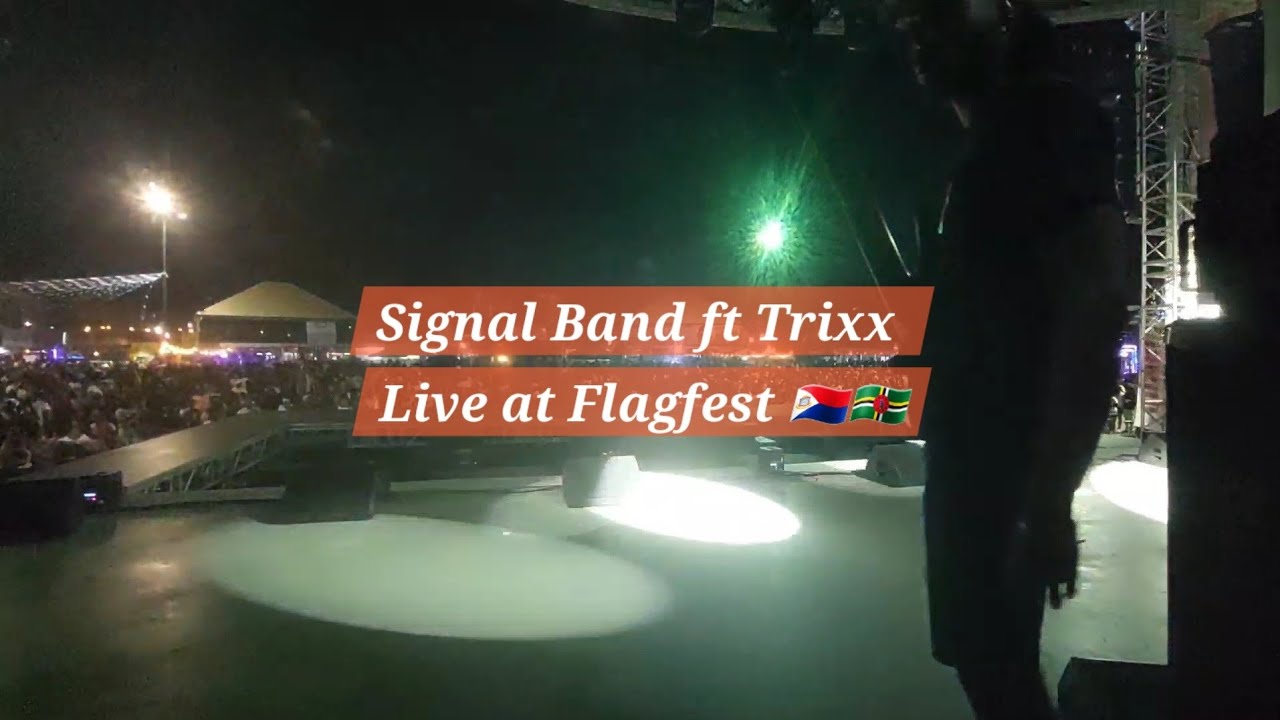 Signal Band ft Trixx Live At Flagfest 2025 (Bass Cam)