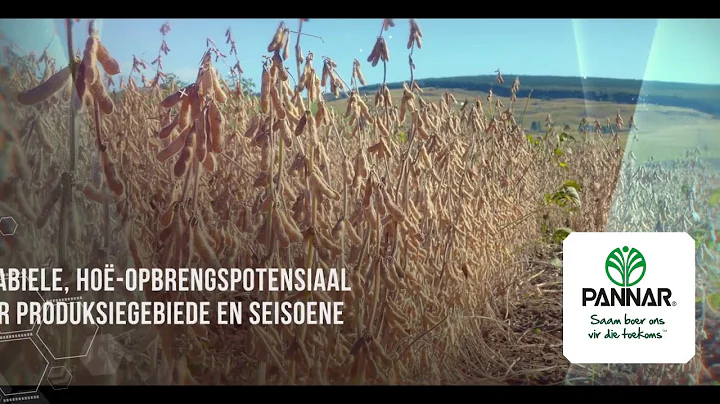 Laaste van die Topverkopers: PAN 1521R