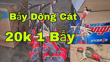 Cách Làm Bẫy Dông Cát Dễ Dính Nhất