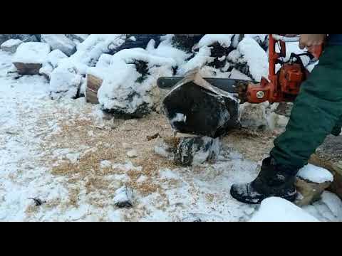 Советская пила Урал на 95 бензине работает по сухому вязу - YouTube