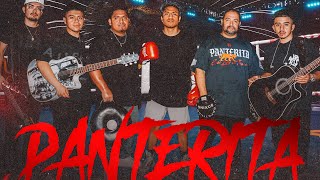Adrian Mendez Y Los De La Perla - Panterita 