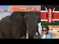 A Day To Remember - Road trip to the Jungle in Kenya Nairobi - Amboseli