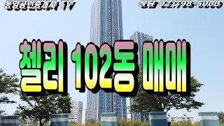 동부이촌동 추천매물-첼리102동 고층 한강뷰  환상적 -오직하나 ~~~
