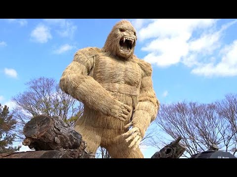 わらの巨大ゴリラが出現 - YouTube