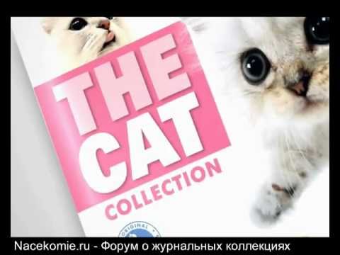 The CAT Collection (Иглмосс / Джи Фаббри) - YouTube