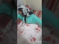اذا بدك تصبح على شخص ما بتحبو بعتلو هي